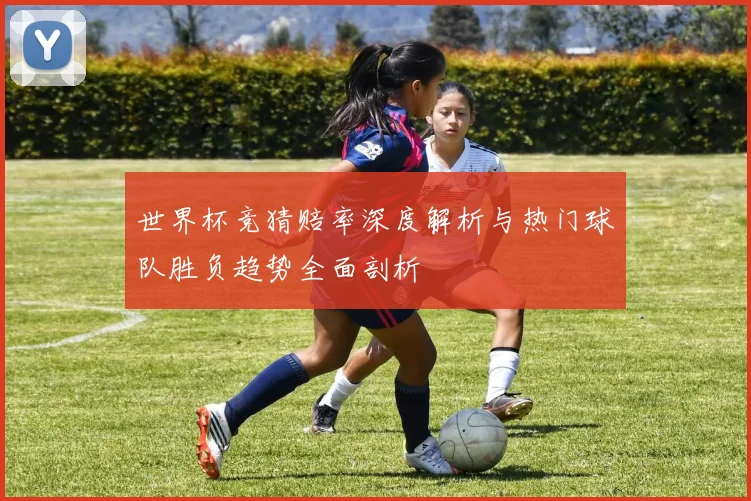 世界杯竞猜赔率深度解析与热门球队胜负趋势全面剖析