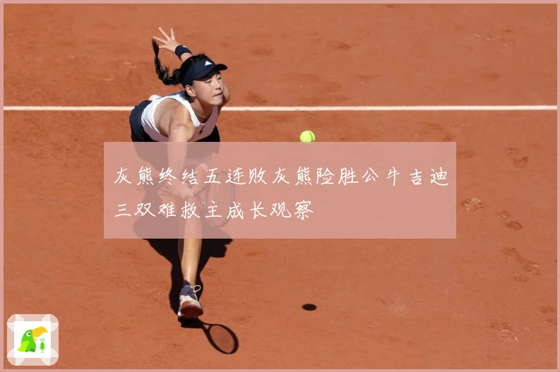 灰熊终结五连败灰熊险胜公牛吉迪三双难救主成长观察