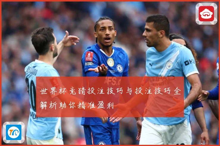 世界杯竞猜投注技巧与投注技巧全解析助你精准盈利