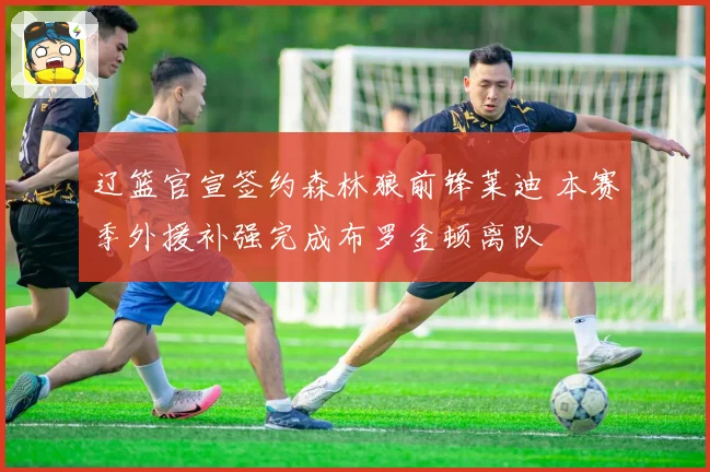 辽篮官宣签约森林狼前锋莱迪 本赛季外援补强完成布罗金顿离队